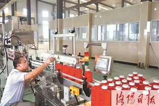 破局而立 新材料技術研發填補國內空白，引領產業新篇章